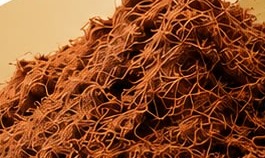 Propagation Cubes — coir substrate
